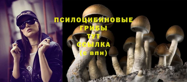 героин Карпинск