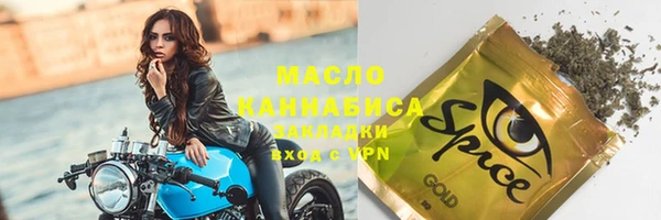 индика Каменка