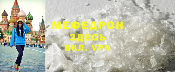 индика Каменка
