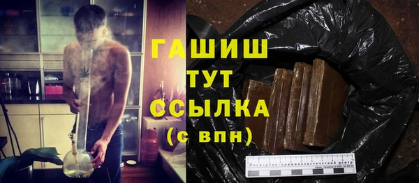 индика Каменка
