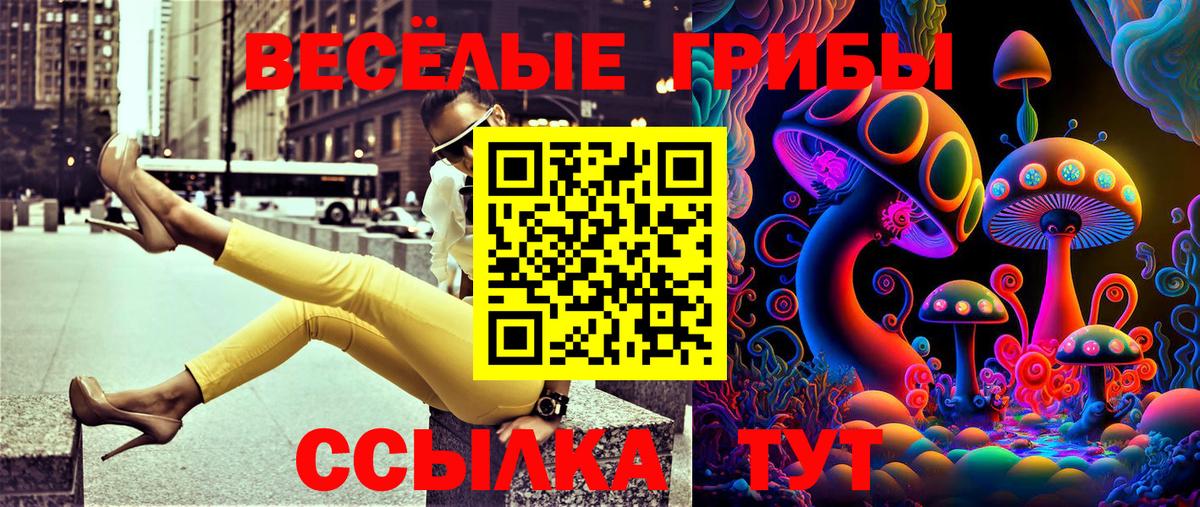 Иркутск  Галлюциногенные грибы мицелий  Вход с VPN 